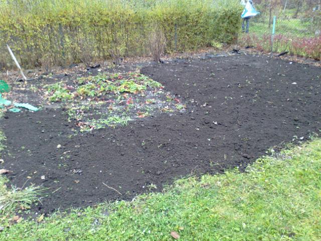 20121104502.jpg