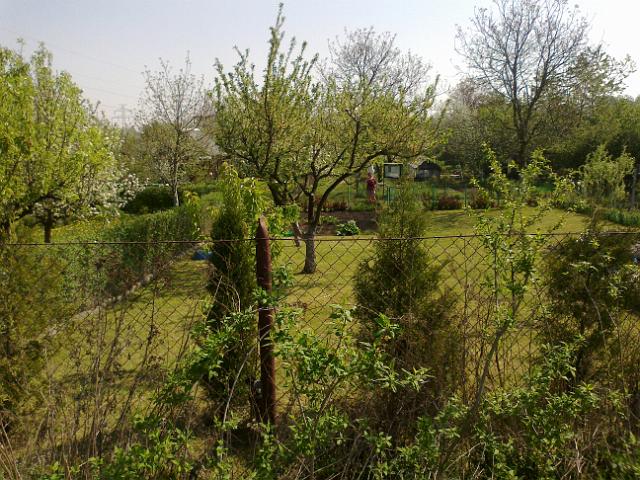 20120501154.jpg