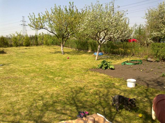 20120501163.jpg
