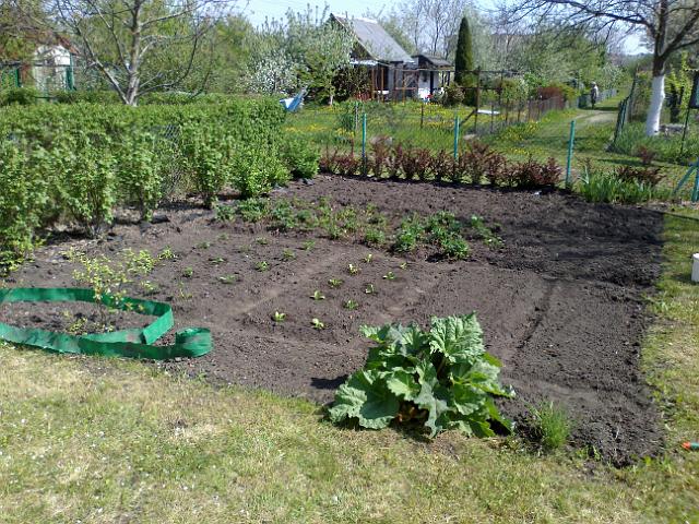 20120501172.jpg