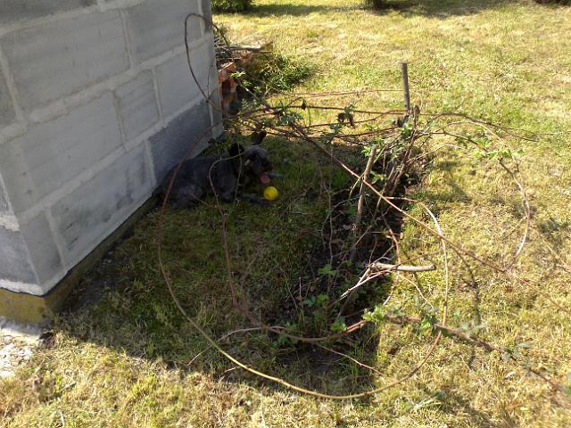 20120501173.jpg