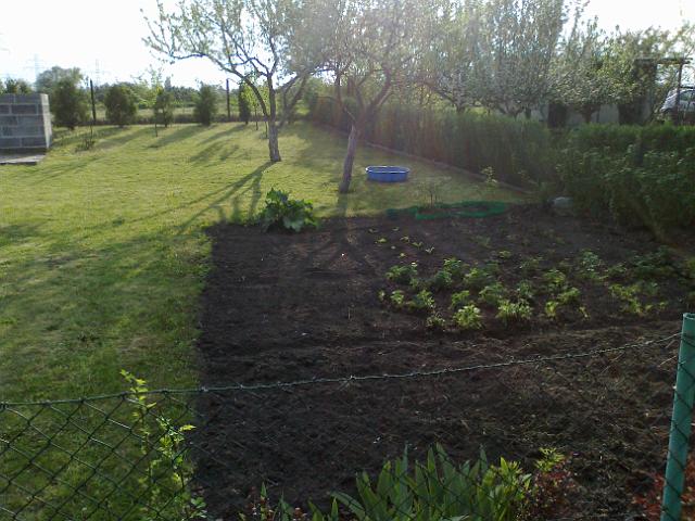 20120501180.jpg