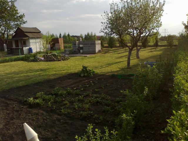 20120501181.jpg
