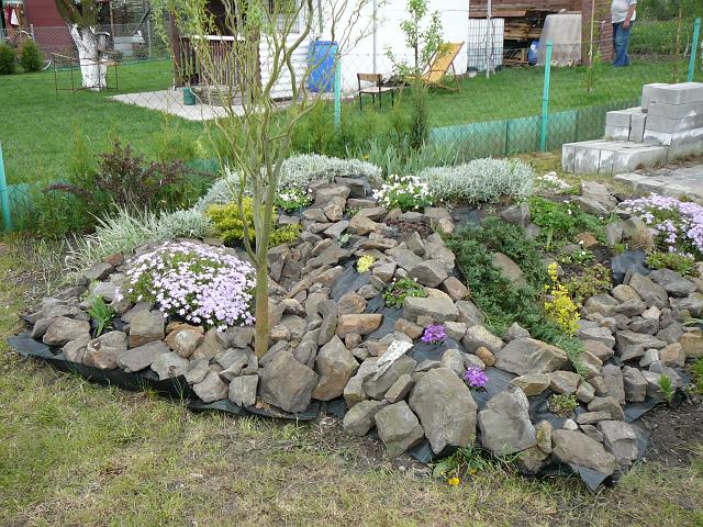 P1340005.JPG