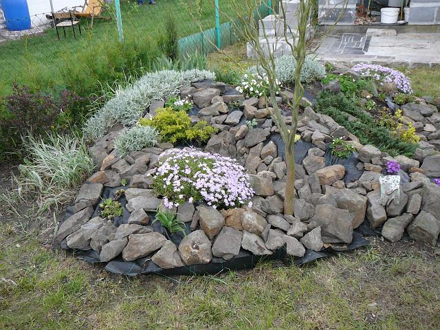 P1340006.JPG