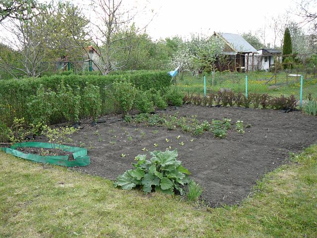 P1340008.JPG