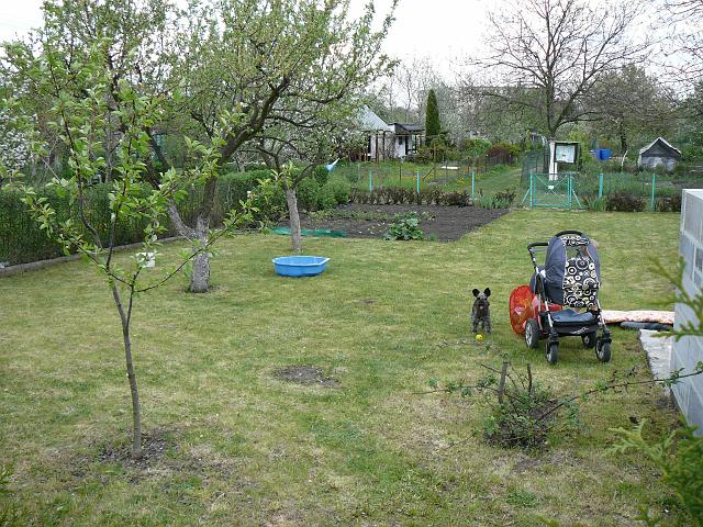 P1340042.JPG