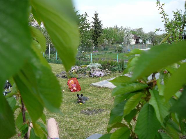 P1340062.JPG