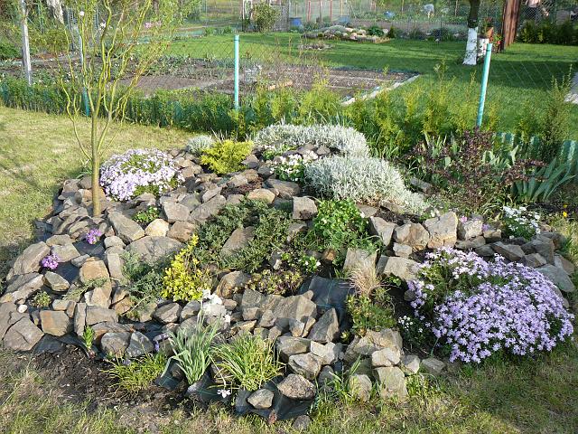 P1340064.JPG