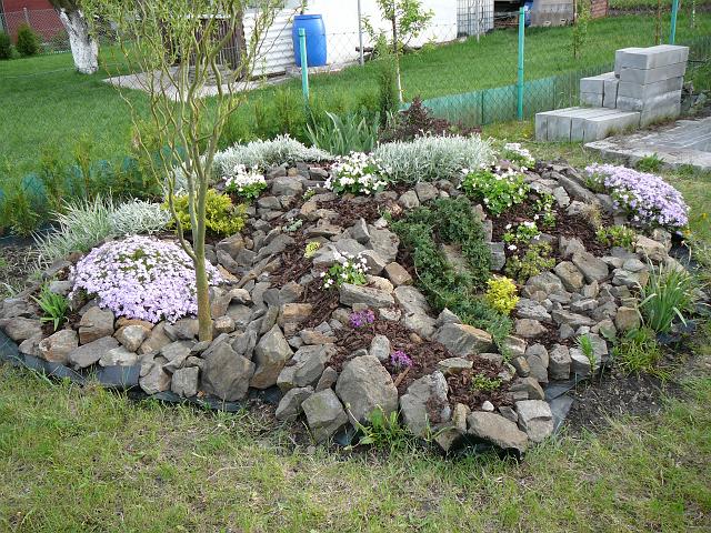 P1340191.JPG