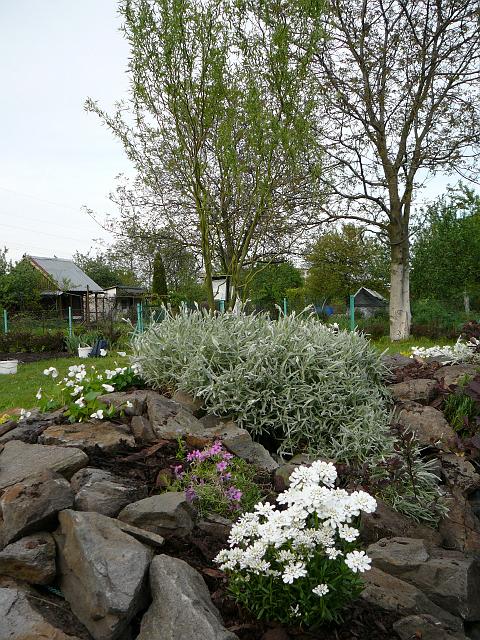 P1340205.JPG