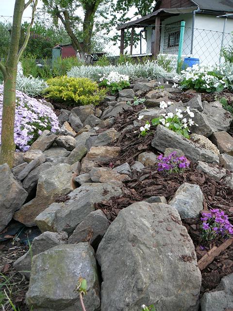 P1340221.JPG