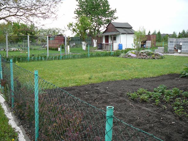 P1340300.JPG