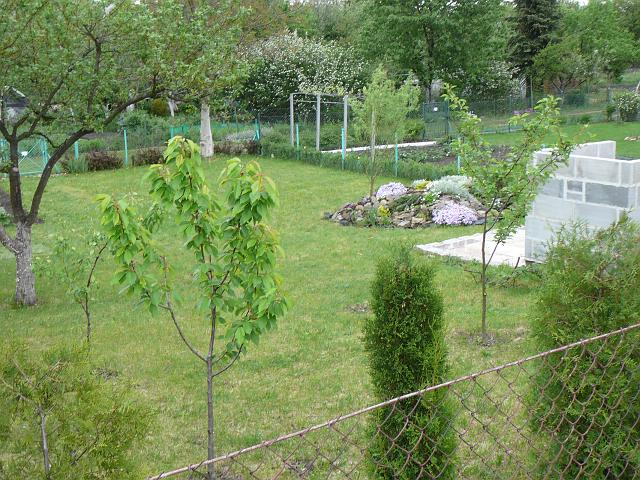 P1340303.JPG