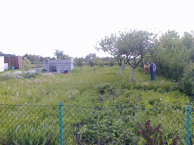 14052011721.jpg - Przed koszeniem... ;)