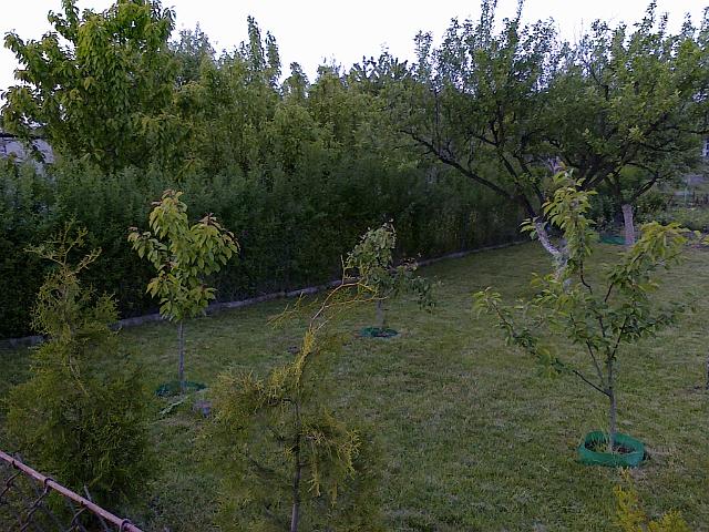 14052011726.jpg - ... i po :)